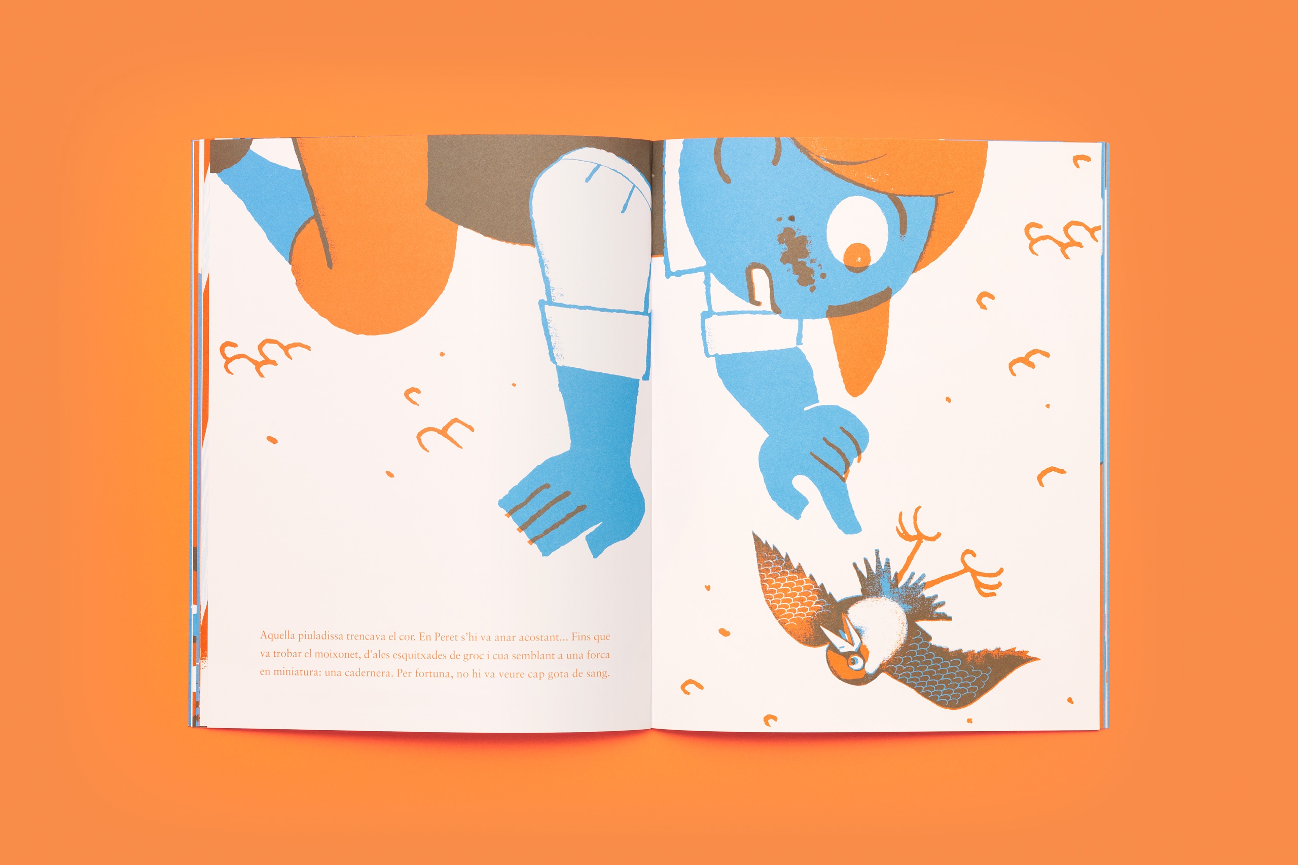 forma_conteselborn_10