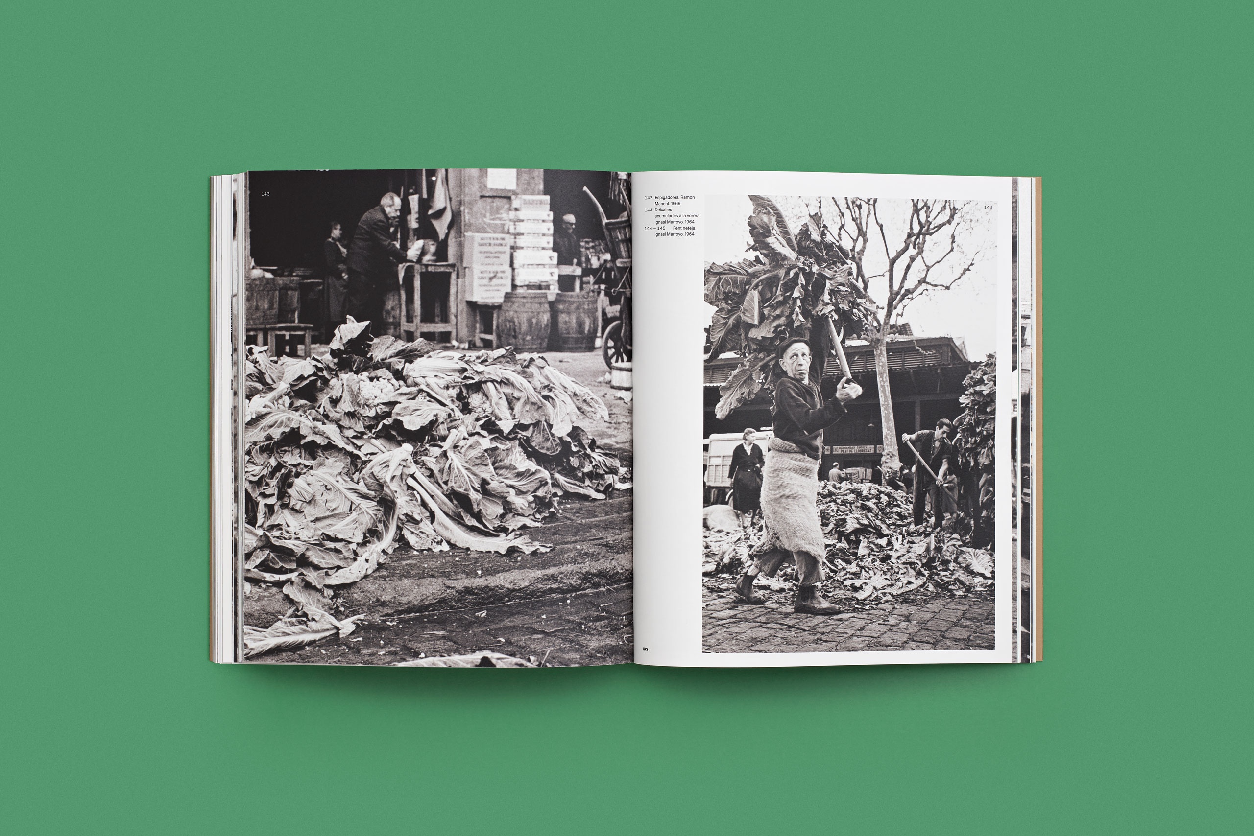 forma-llibres-born_22