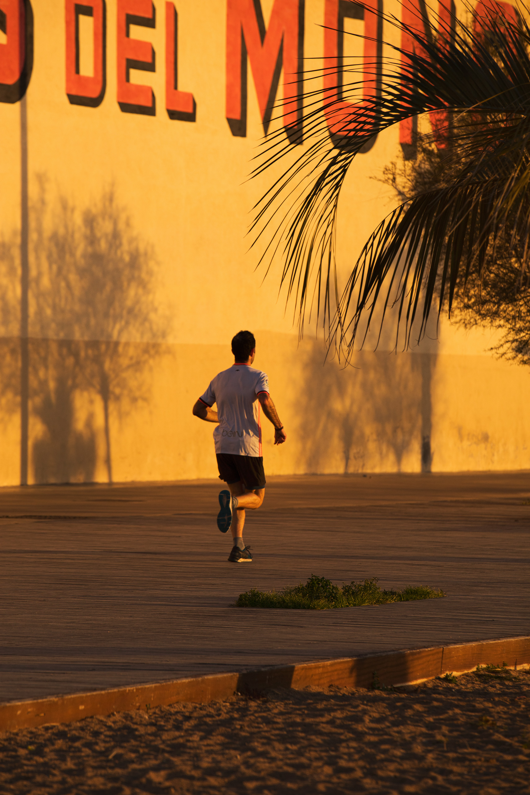 forma_bdn_campanya_002