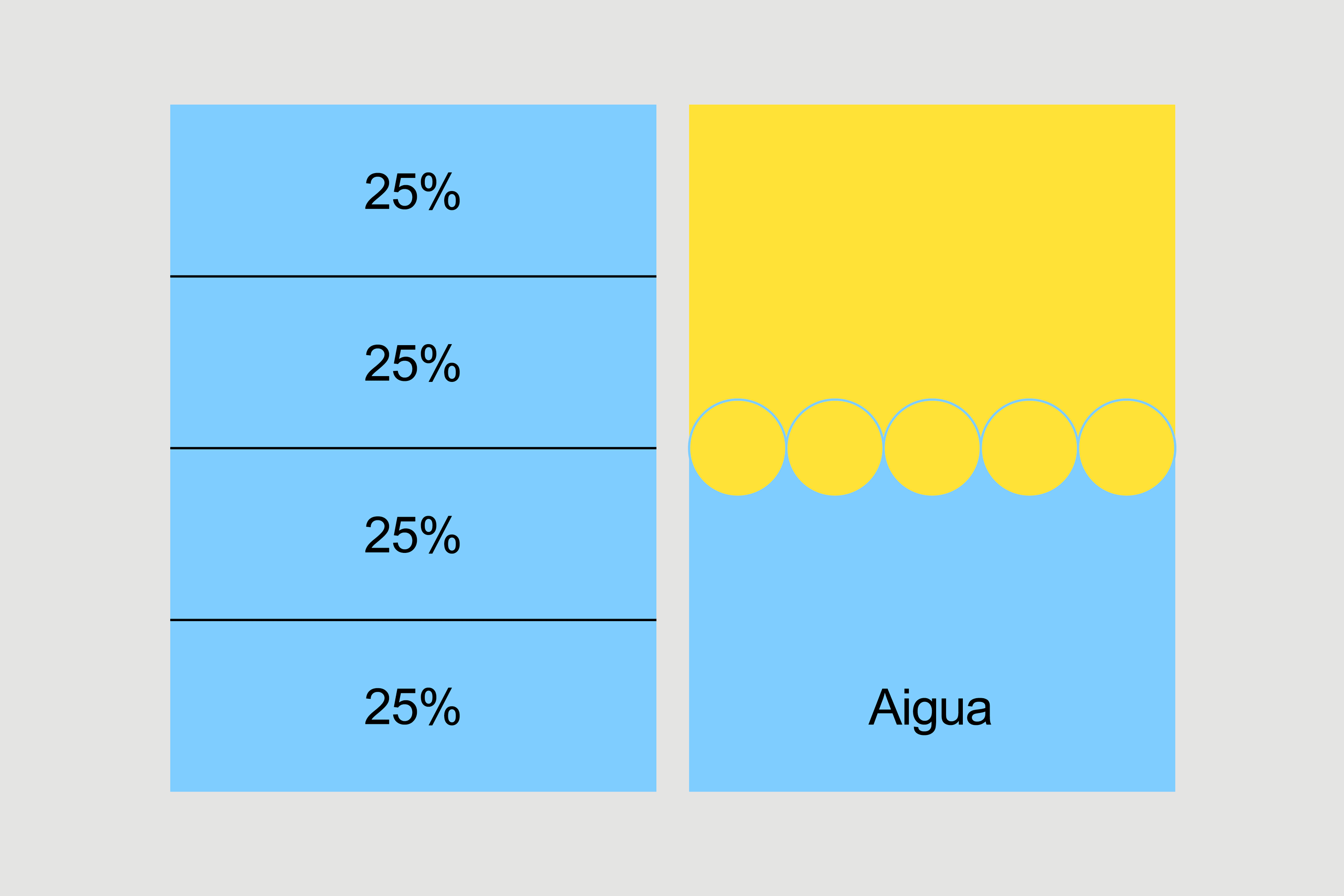 forma_ajuntament_sistema_18