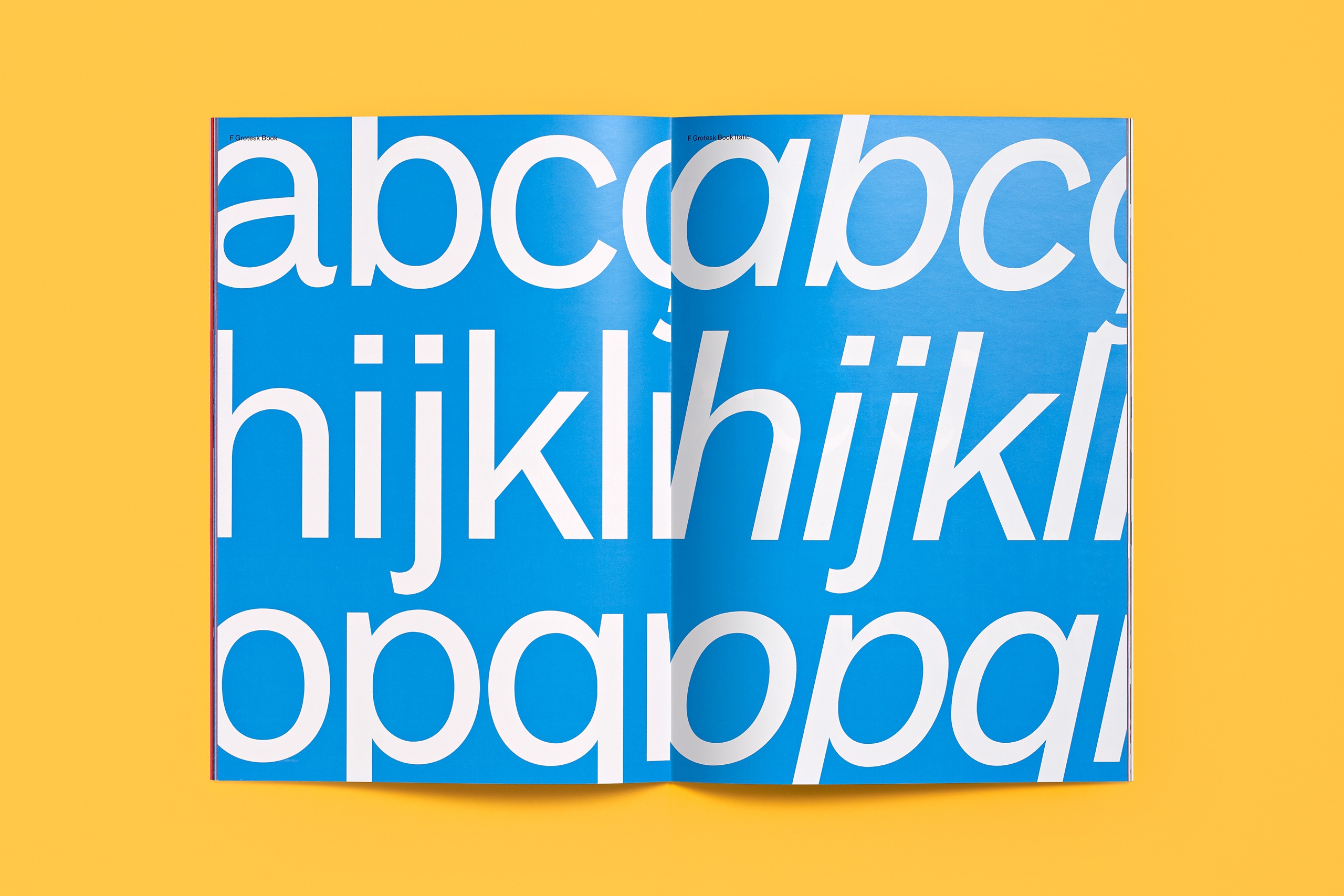 forma_BDN_manualnormatiu_01