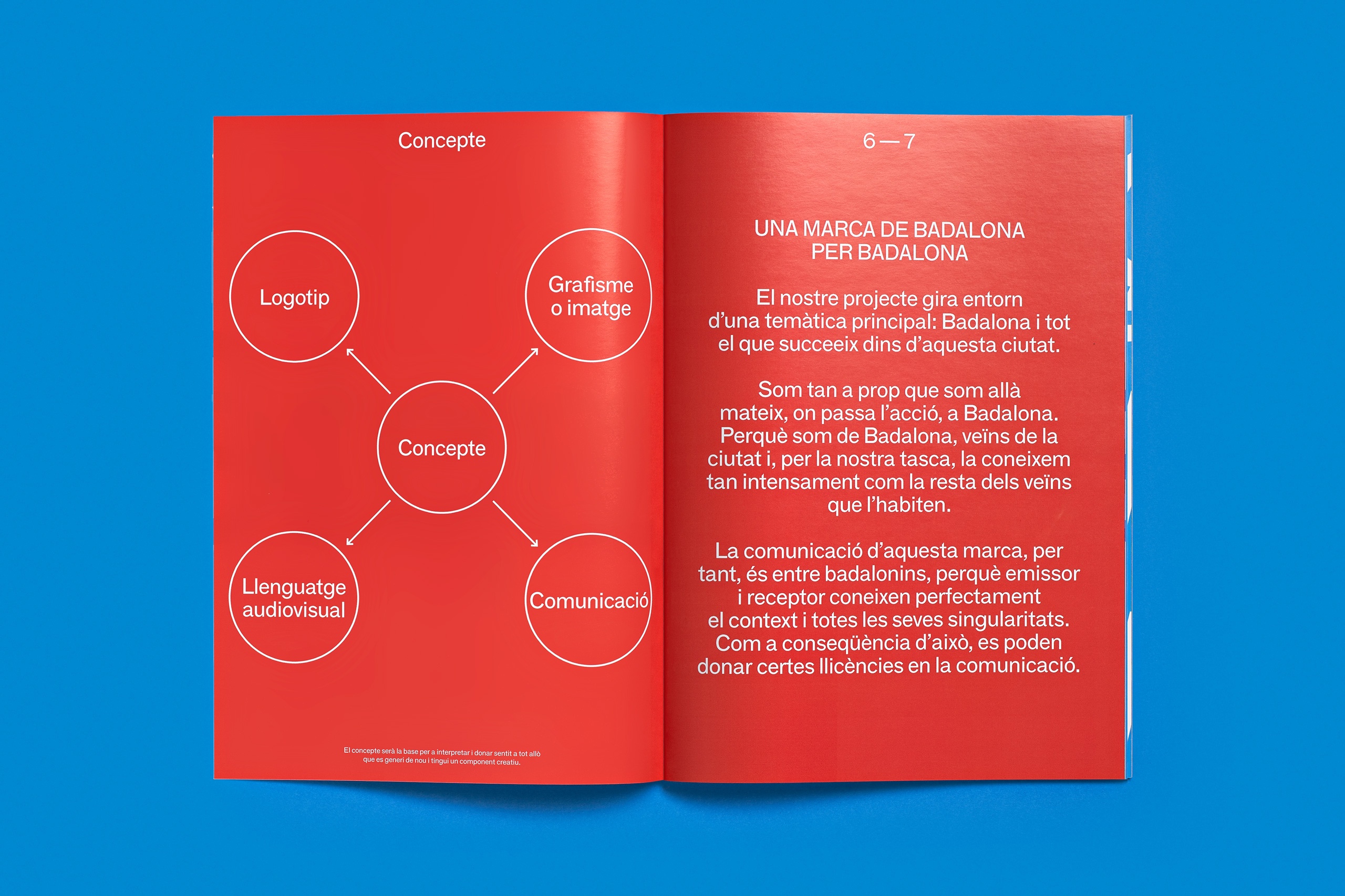 forma_BDN_manualnormatiu_02