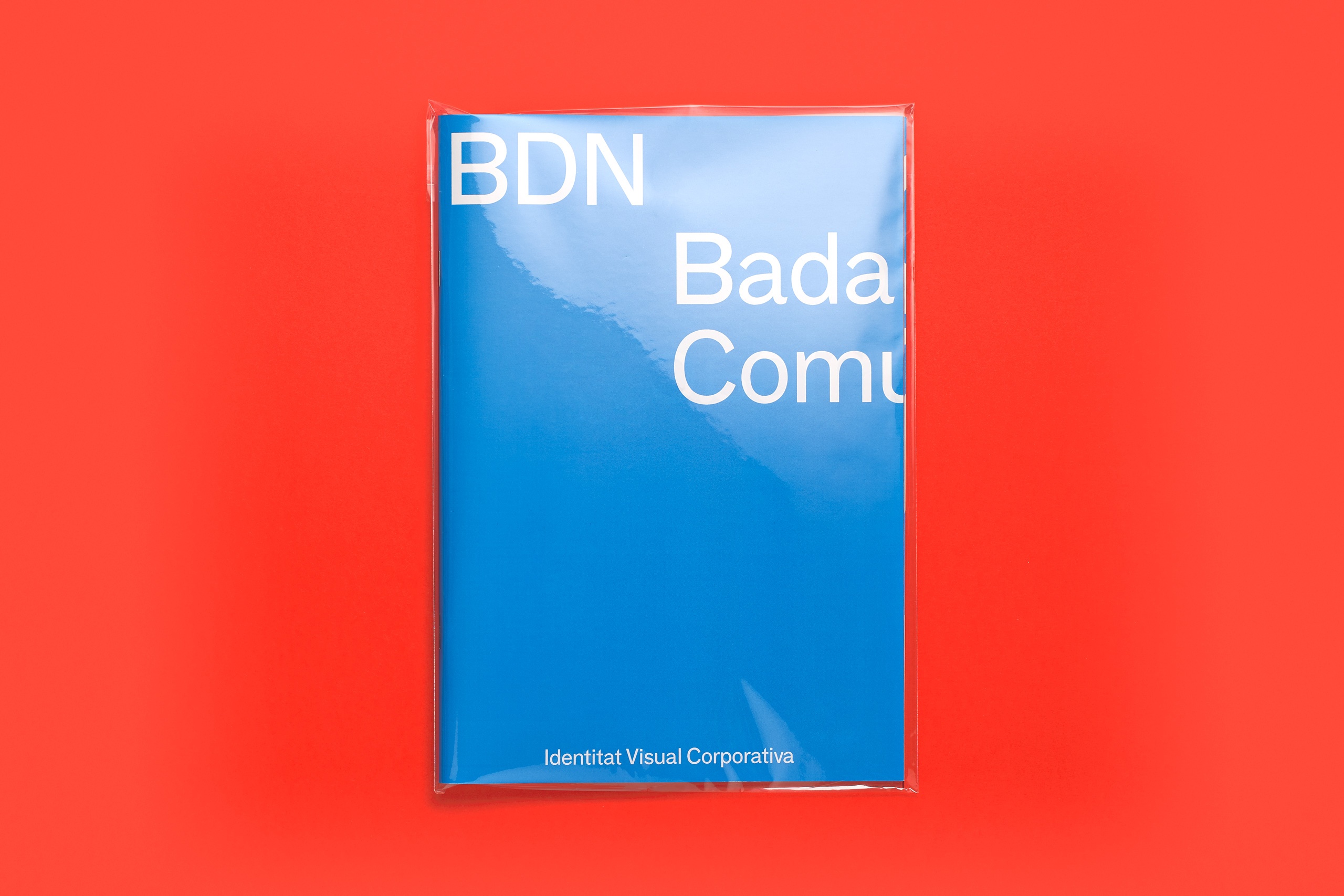 forma_BDN_manualnormatiu_03