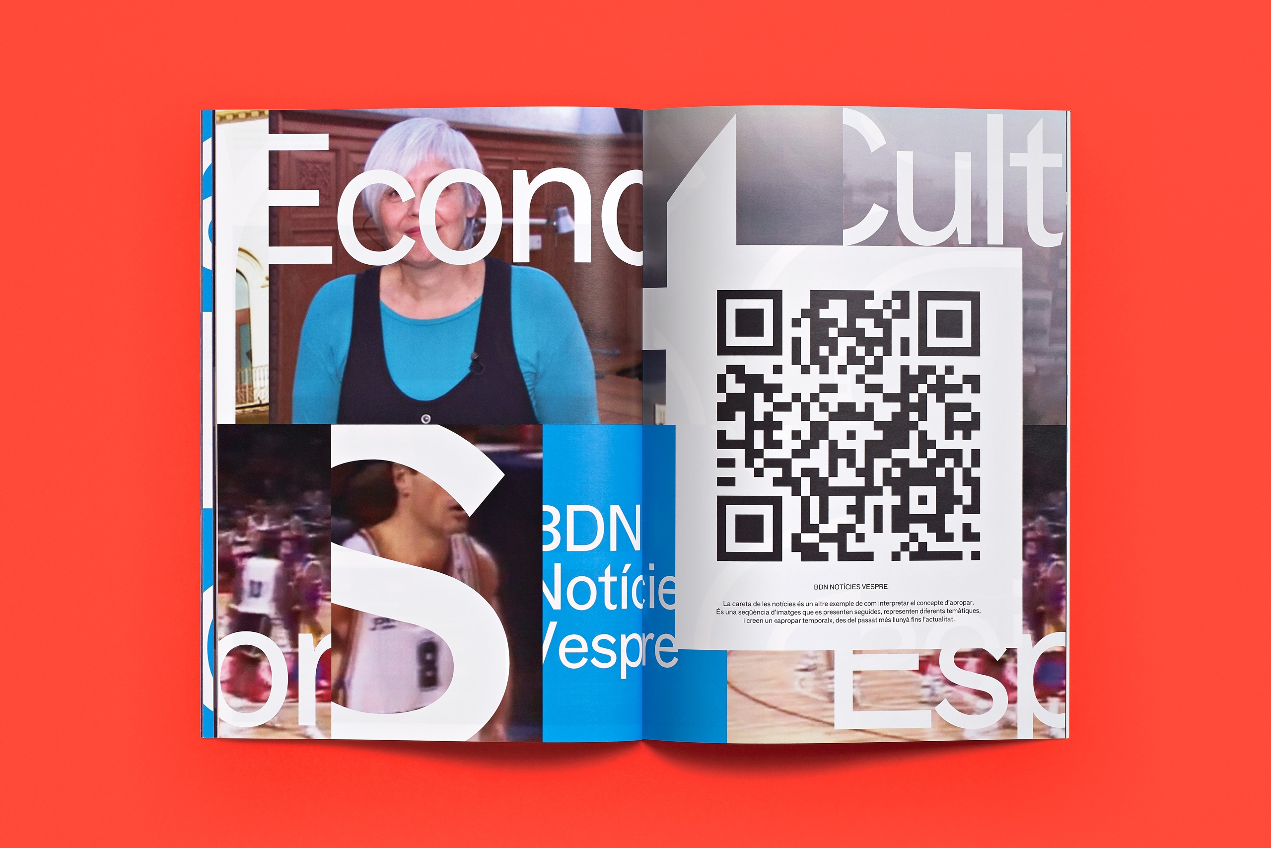 forma_BDN_manualnormatiu_04