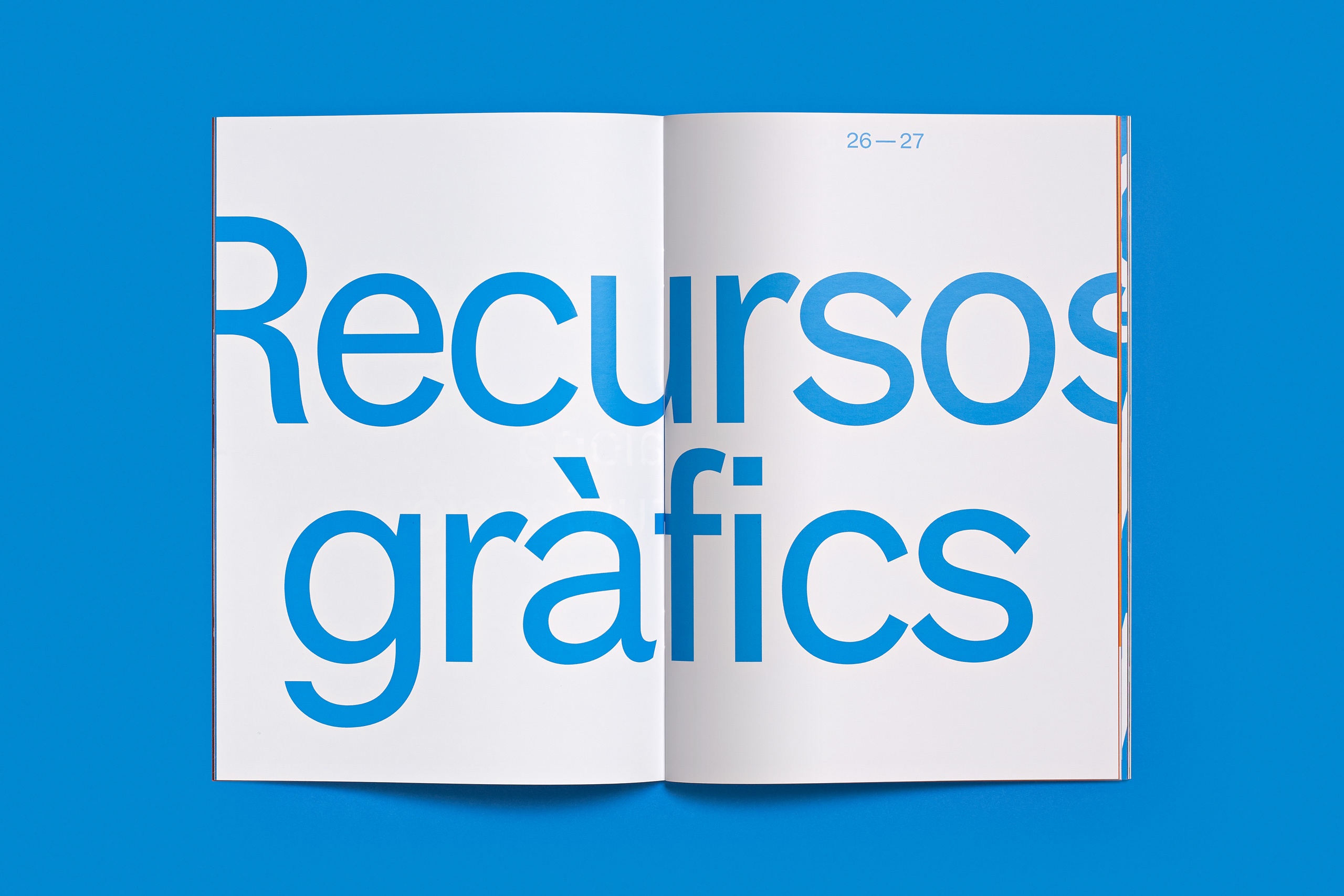 forma_BDN_manualnormatiu_10