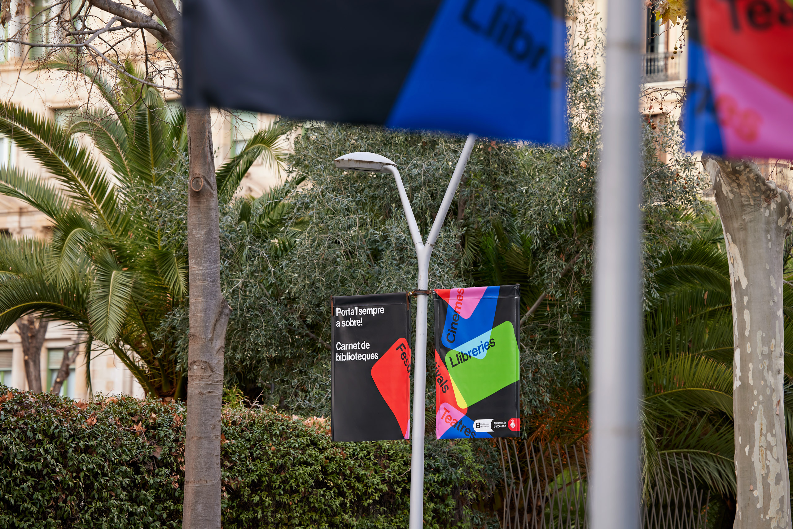 Forma_Carnet_Biblioteques_02