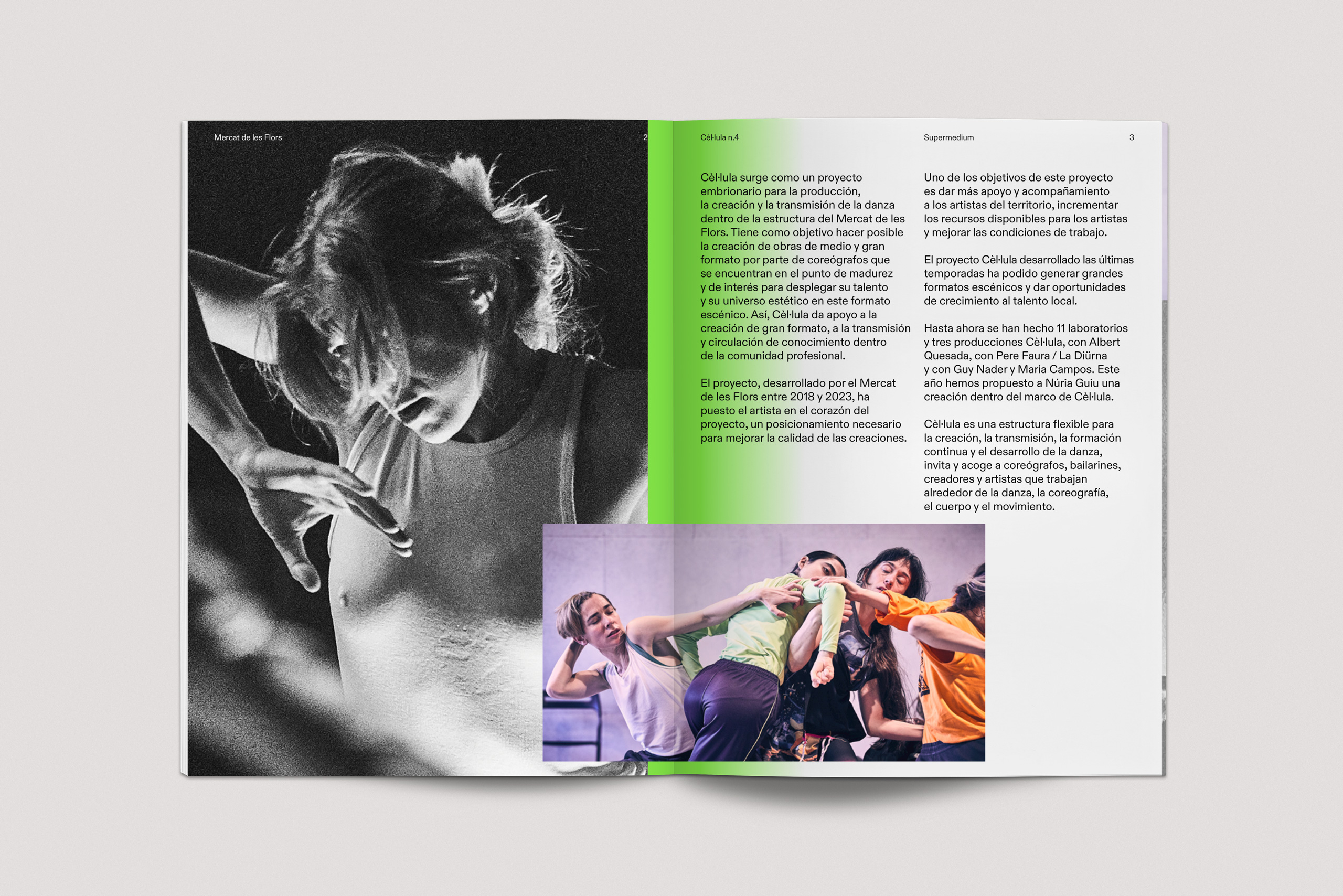 Forma_MDLF_Cellula_01