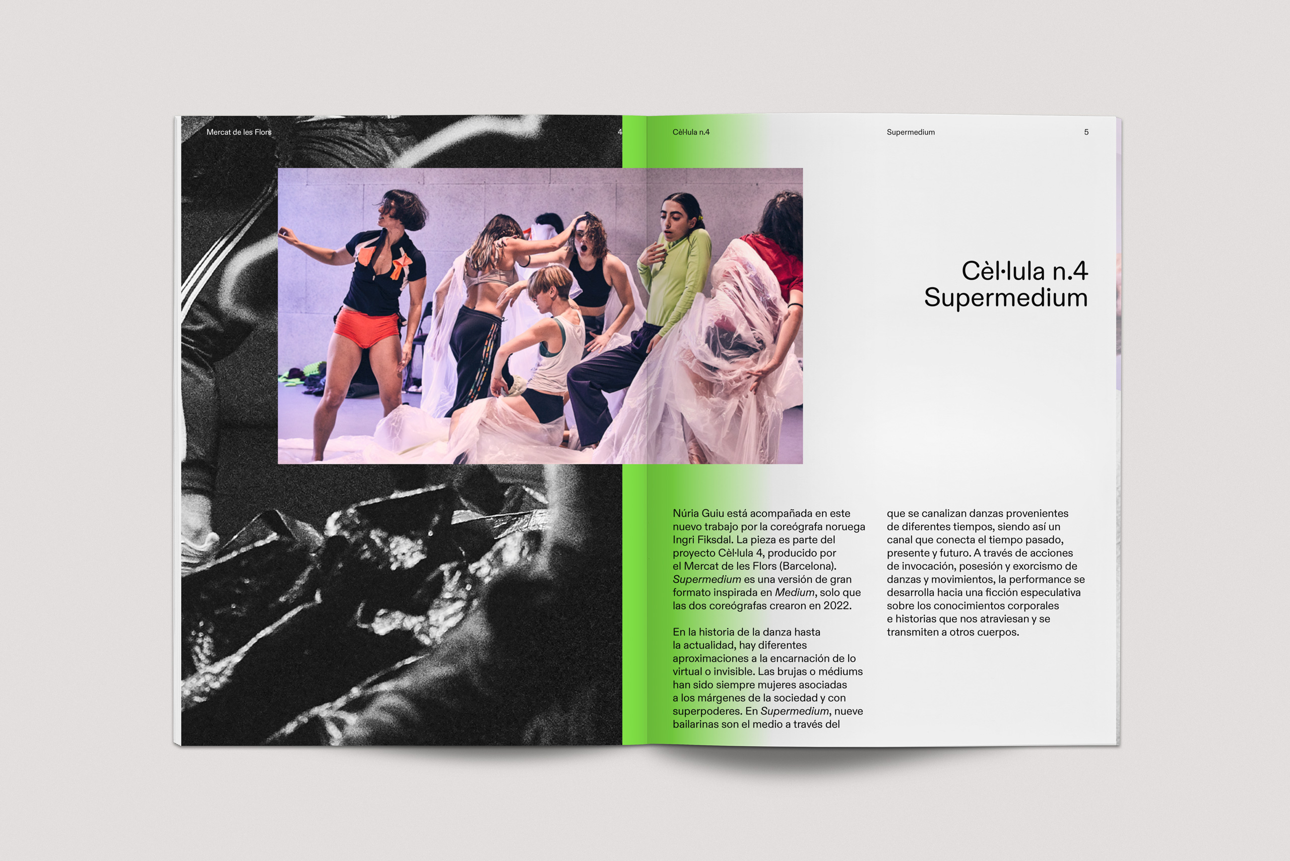 Forma_MDLF_Cellula_02