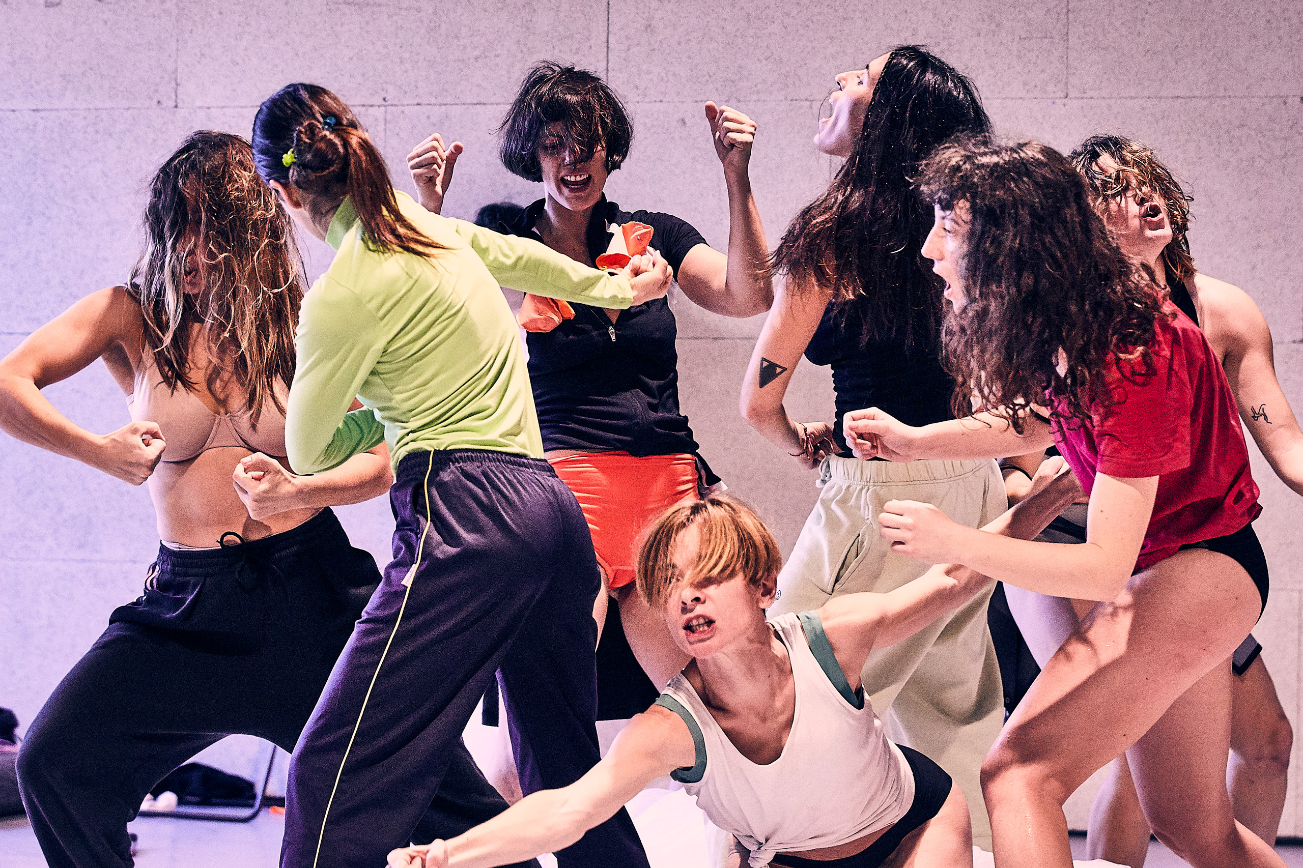 Forma_MDLF_Cellula_09