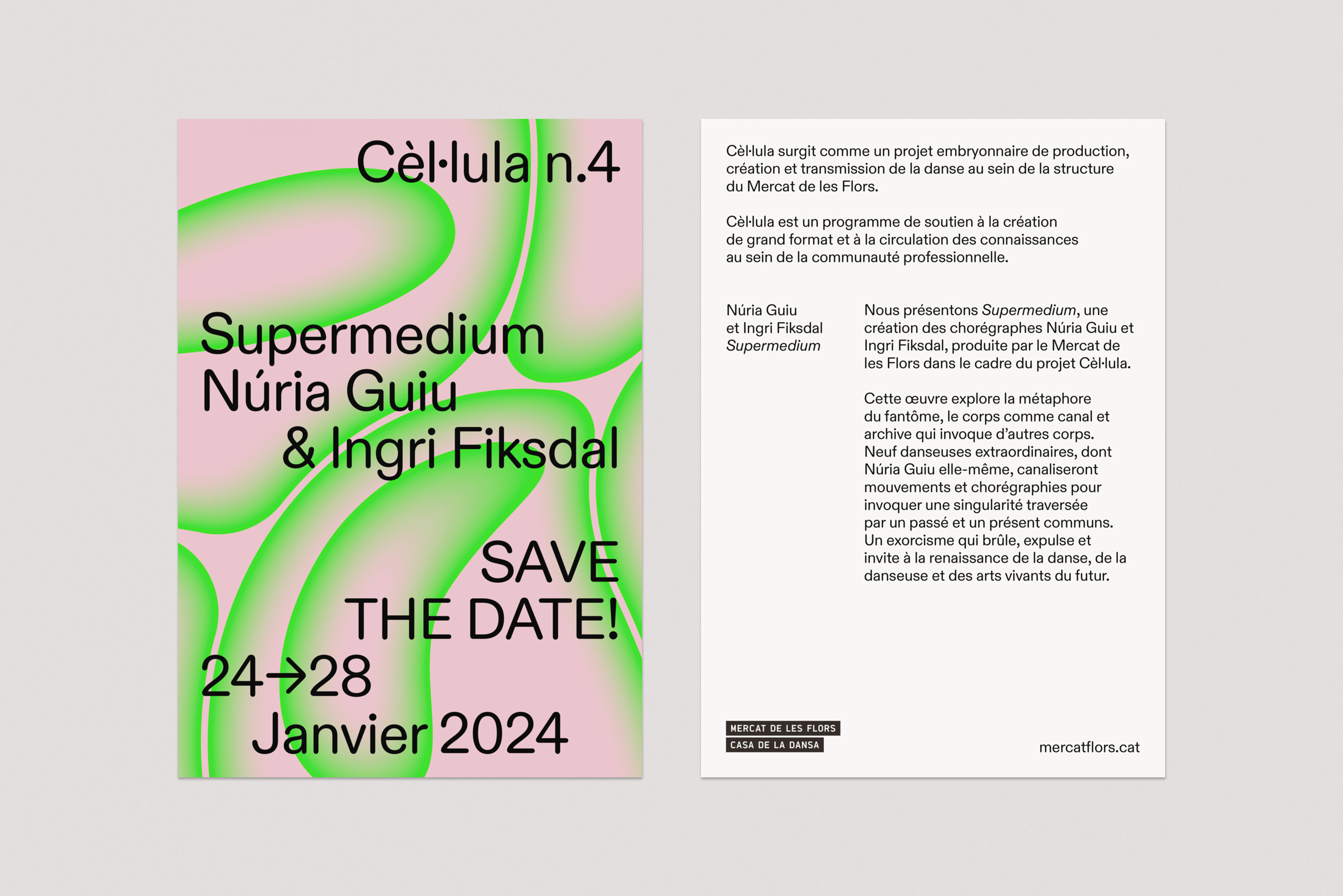 Forma_MDLF_Cellula_15