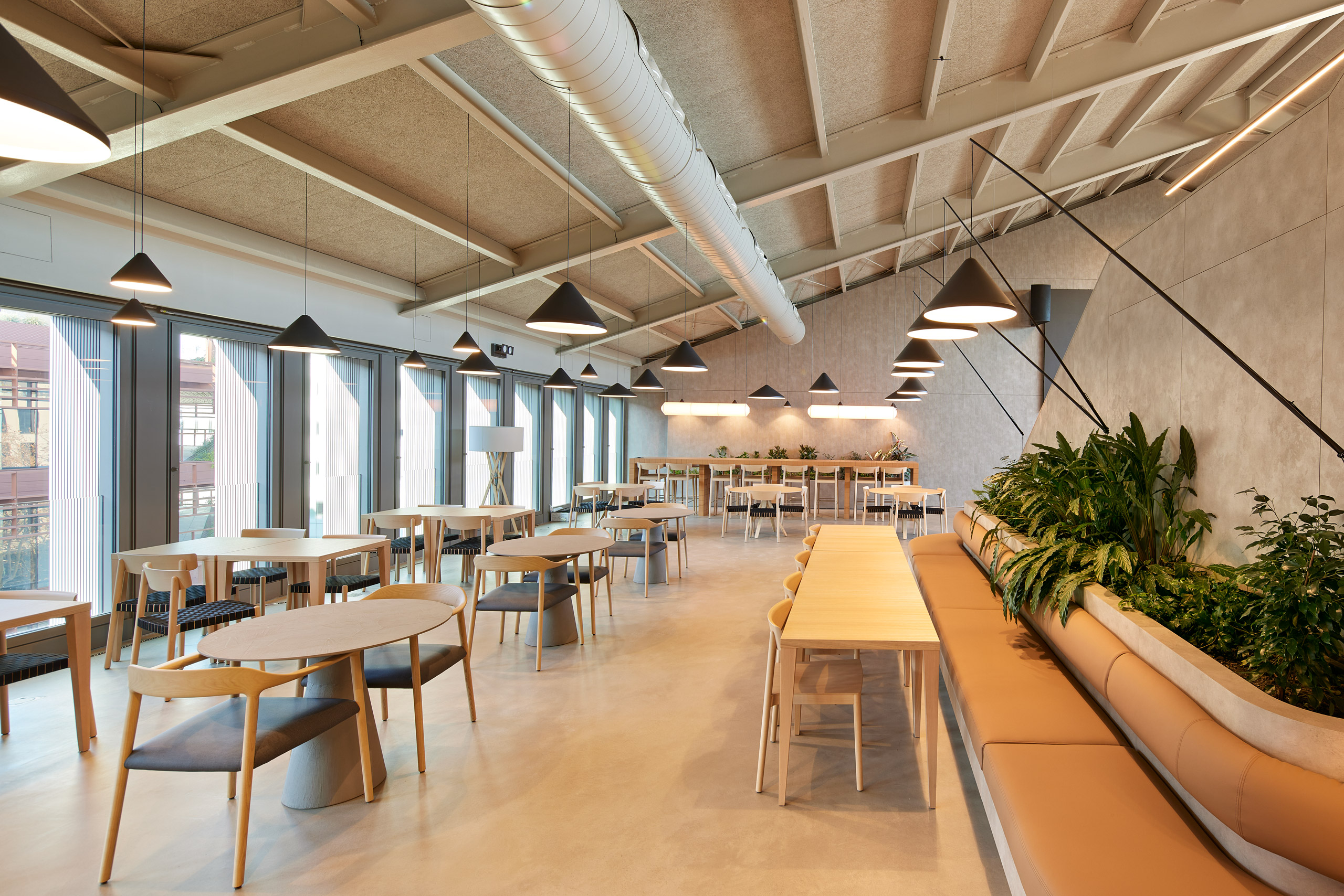 Forma_simon_sancho_avila_50_web_res