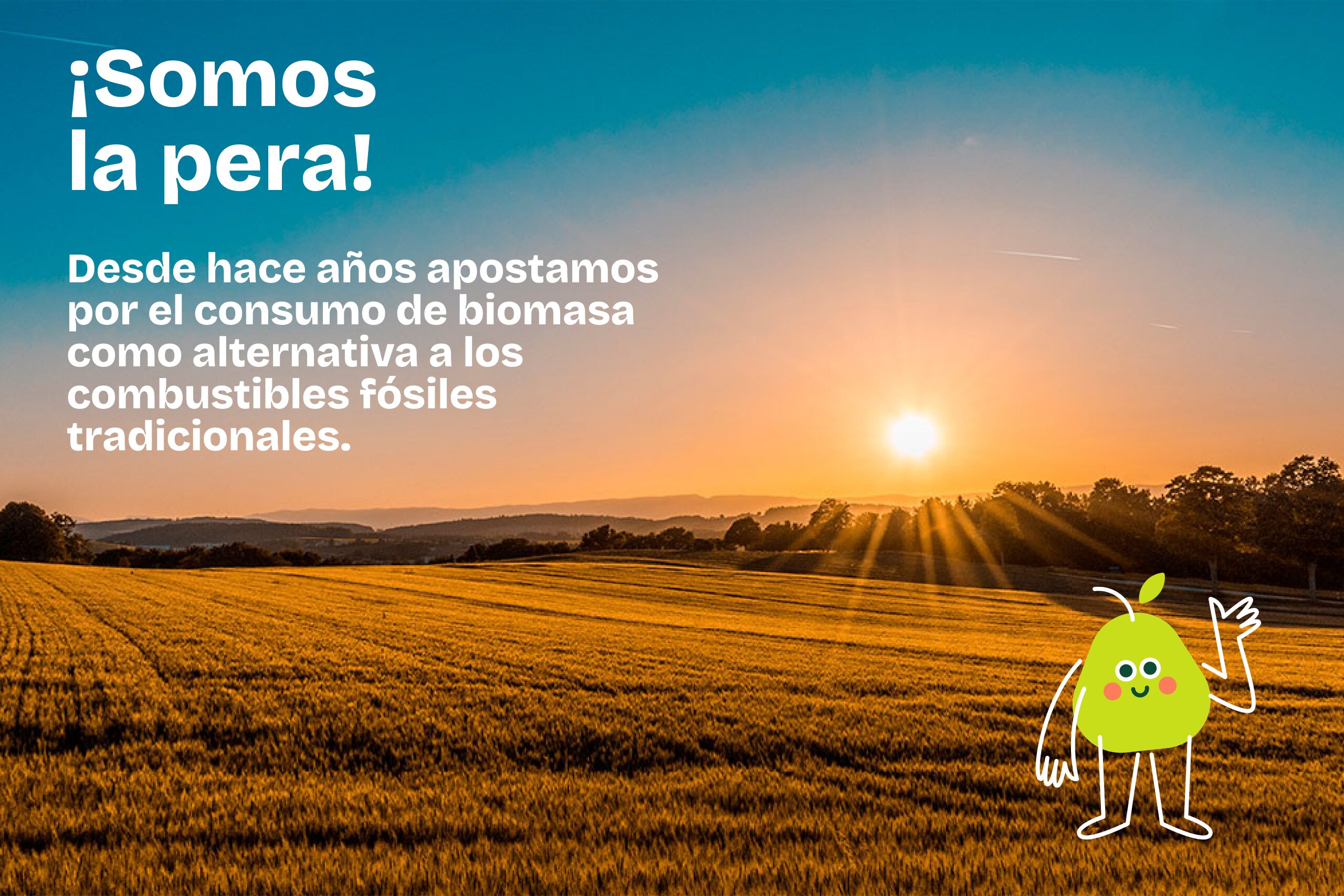 Forma_Energia_Nufri_Visual_05